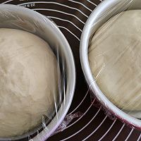 奶酪包的做法图解5