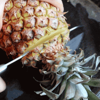 #美食视频挑战赛#  菠萝古老肉的做法图解1