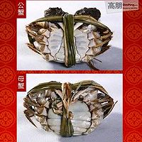 大闸蟹最经典烹饪法-----清蒸的做法图解2