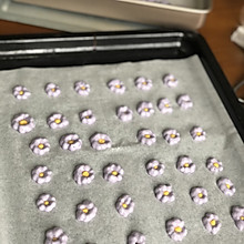 蓝莓花朵溶豆