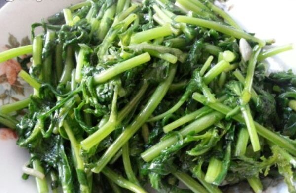素炒茼蒿