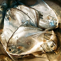 香煎小海鲳鱼的做法图解1