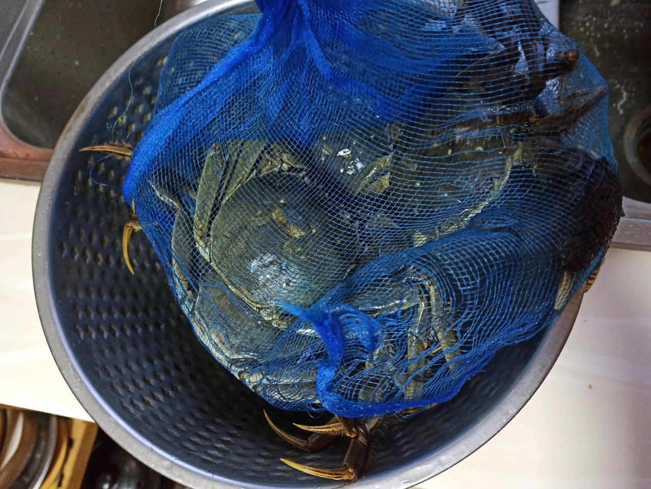 无水煮螃蟹原汁原味非常鲜香，老渔民用的煮螃蟹做法很简单又实用-小珠酱美食-小珠酱美食-哔哩哔哩视频