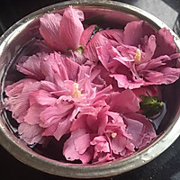 木槿花百合瘦肉汤的做法图解1
