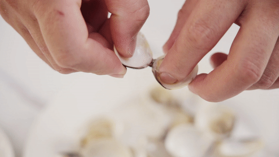 海味蒸蛋【孔老师教做菜】的做法图解2