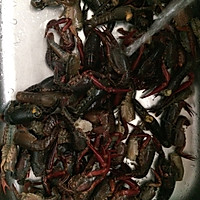 麻辣小龙虾，干净又卫生，关键是家人都说好吃。的做法图解2