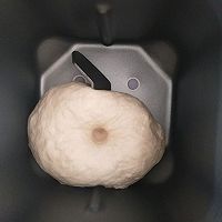 椰蓉叶子面包的做法图解5