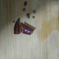 火腿清炒生菜的做法图解2