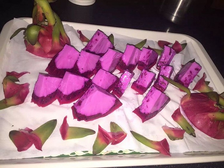 火龙果牛奶布丁的做法