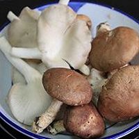 鲜菇汤的做法图解4