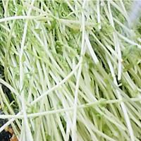 #米饭最强CP#炝炒豆苗的做法图解4