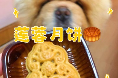 一次成功｜广式莲蓉月饼