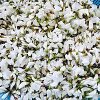 槐花麦饭的做法图解3