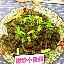 爆炒小田螺