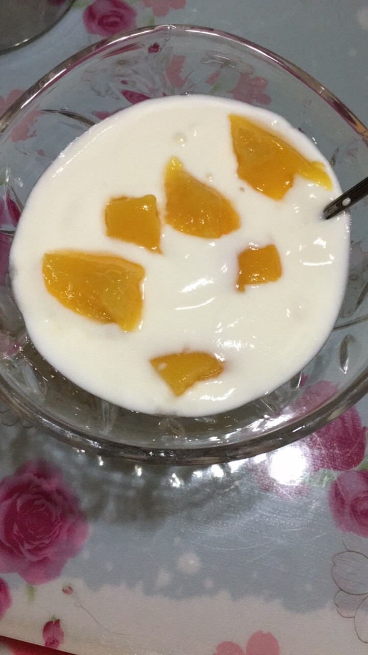 自制酸奶的做法