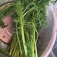 凉拌茴香的做法图解1