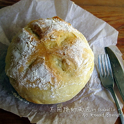 【懒人必备No Knead Bread】不用揉的面包