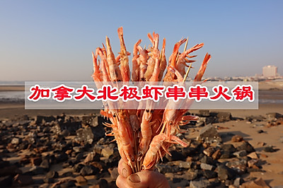 加拿大北极虾串串火锅