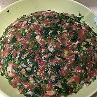荠菜饺子，一口咬下去满满的幸福味道的做法图解6