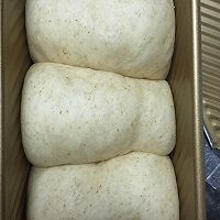 纯手工红豆全麦吐司的做法图解16
