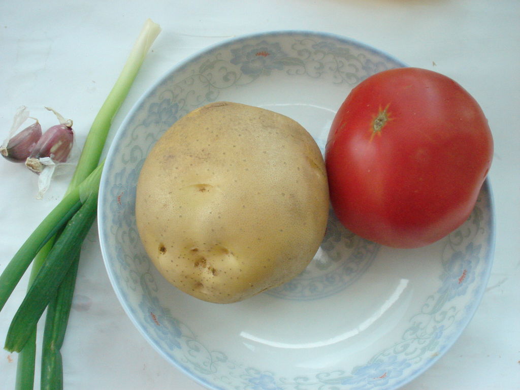 用土豆来嫁接西红柿，你觉得不太可能，但它们真的开花结果了 - 哔哩哔哩
