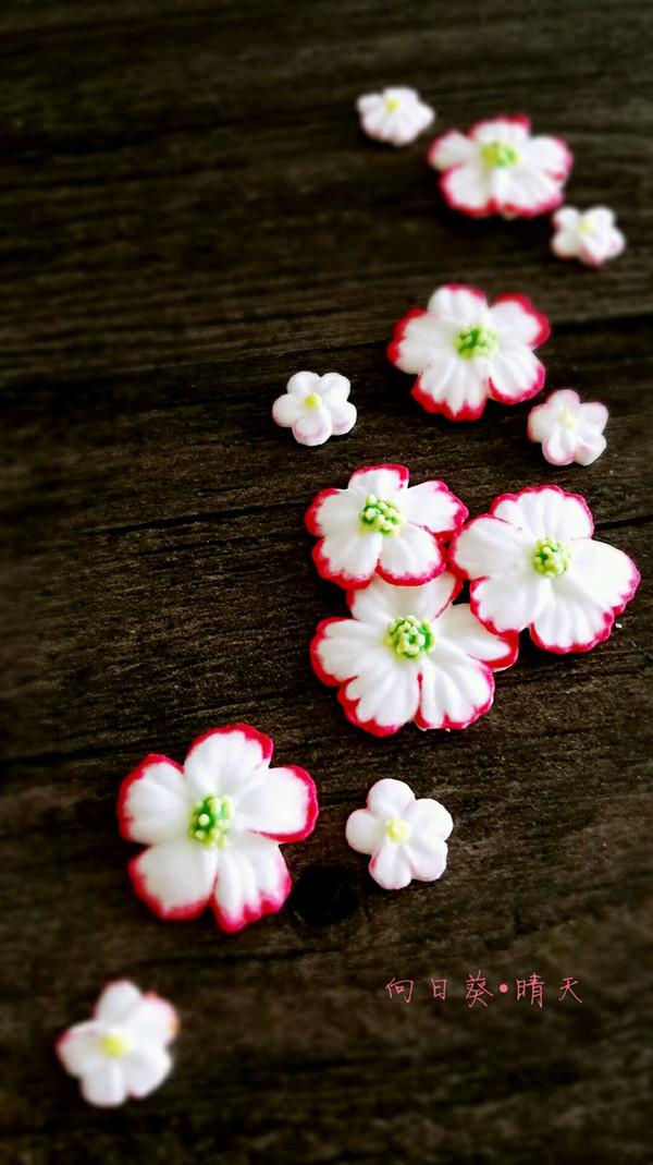 蛋白糖霜花，糖霜饼干必备