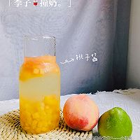 酸酸甜甜，温暖如斯-李子撞奶的做法图解5