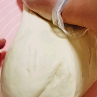 手揉版简单易做奶香小餐包（小面包）的做法图解5