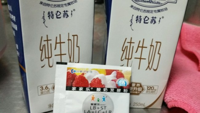 自制酸奶的做法