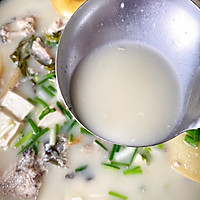 超鲜的奶白黑鱼汤的做法图解9