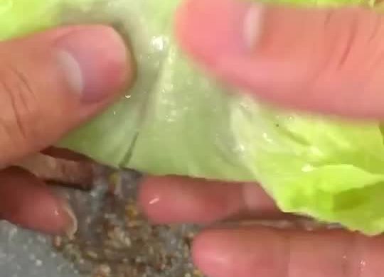 生菜烤牛肉