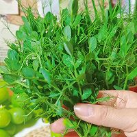 #轻食季怎么吃#向日葵三明治的做法图解5