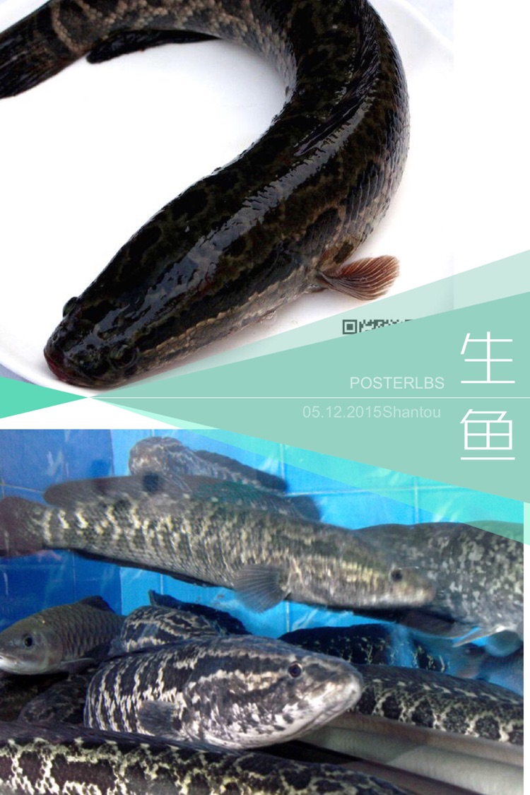 三椒鲜鱼片｛林小厨SFC｝的做法图解1