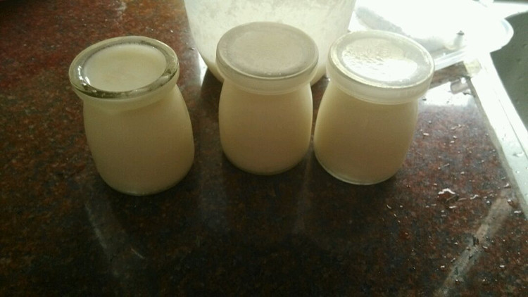 全脂奶粉之酸奶的做法