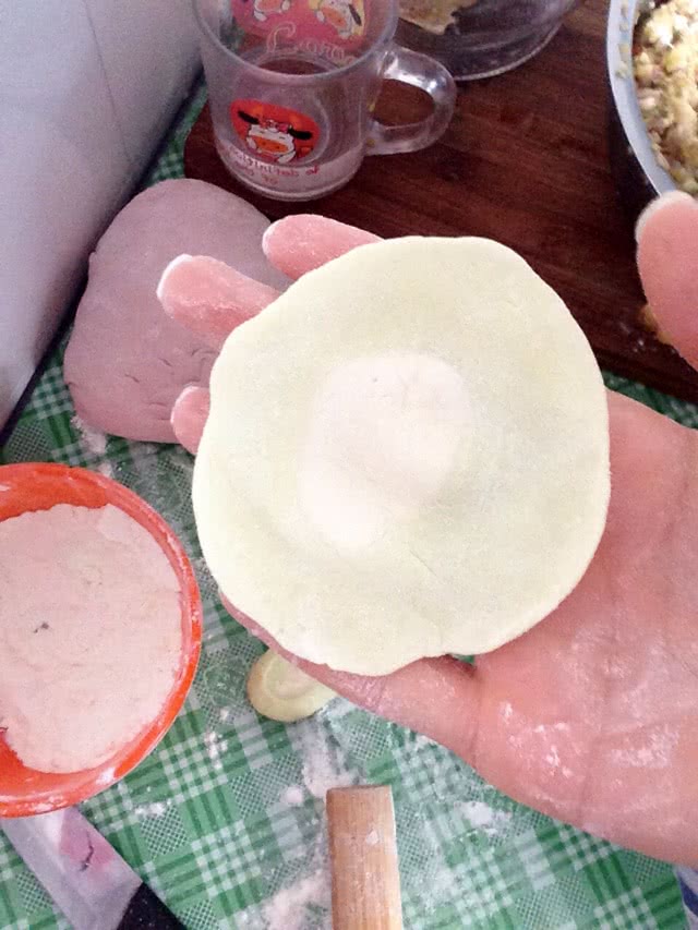 彩色饺子的做法图解5