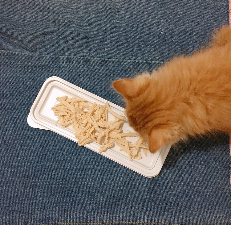 猫饭之最爱鸡胸肉的做法