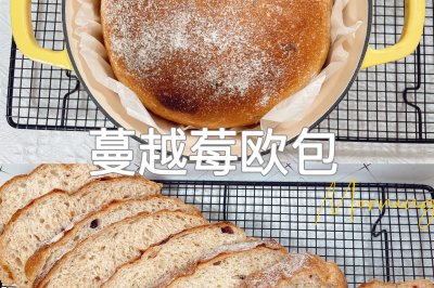 健康低脂蔓越莓欧包减肥面包珐琅锅版