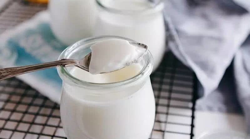 Self made thick yogurt