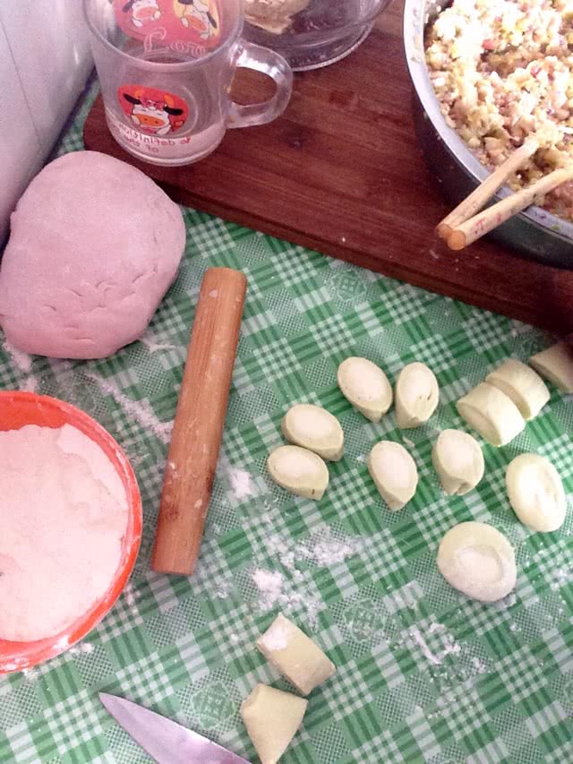 彩色饺子的做法图解4