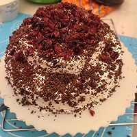 #南北面点大不同#家庭版～蔓越莓巧克力碎奶油双层生日蛋糕的做法图解20