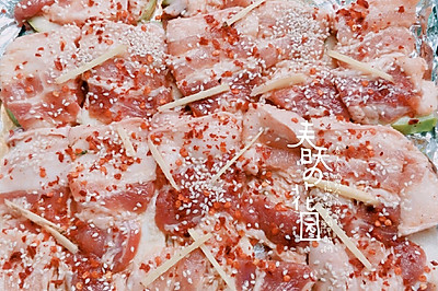 烤五花肉（烤箱版）