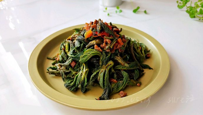 葱辣豆瓣菇肉酱