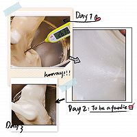 水合法软绵绵牛奶土司的做法图解4