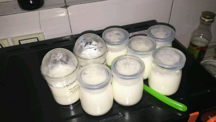 烤箱制作酸奶