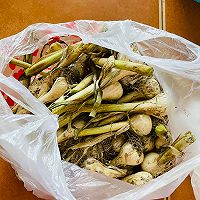 东北腌蒜（咸酸口）的做法图解1