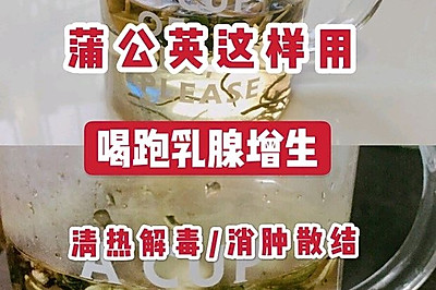 蒲公英散结3用法良性乳腺结节女人收藏