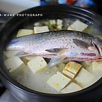 芹菜鲫鱼豆腐的做法图解9