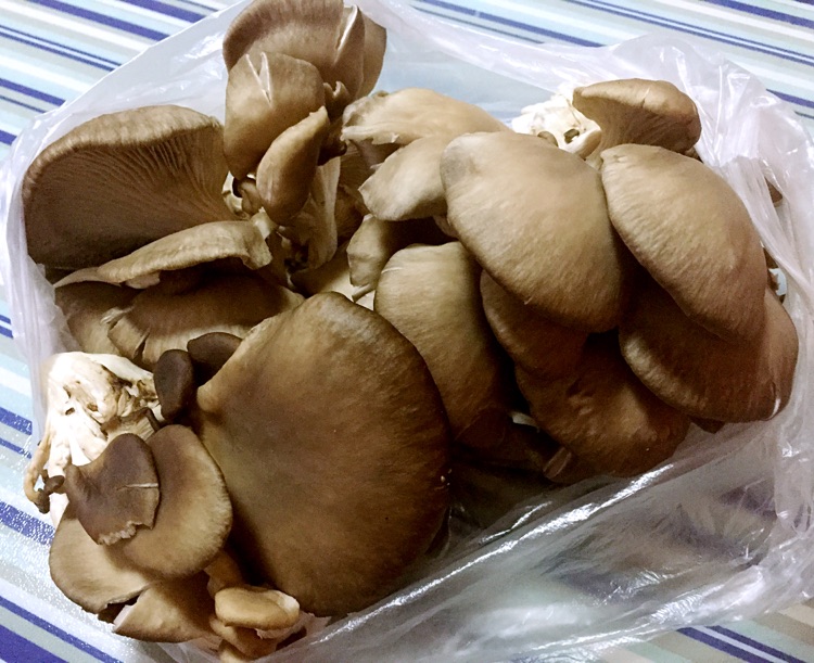 香酥孜然平菇的做法图解1