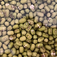 “大风”刮来的绿豆芽，自已发豆芽放心又健康的做法图解2