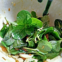 清新小菜——凉拌薄荷的做法图解2